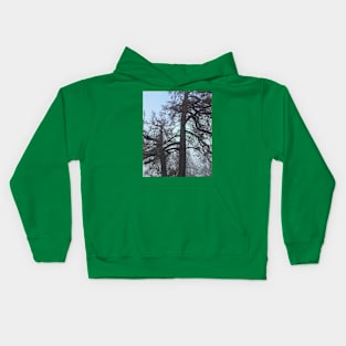 Shadowed Trees Photography My Kids Hoodie